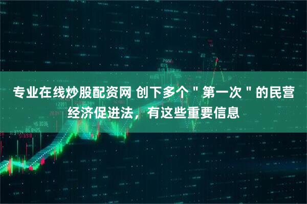 专业在线炒股配资网 创下多个＂第一次＂的民营经济促进法，有这些重要信息
