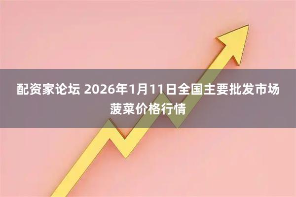 配资家论坛 2026年1月11日全国主要批发市场菠菜价格行情